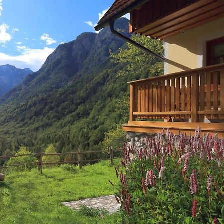 Zadnjica Holiday House Соча Екстер'єр фото
